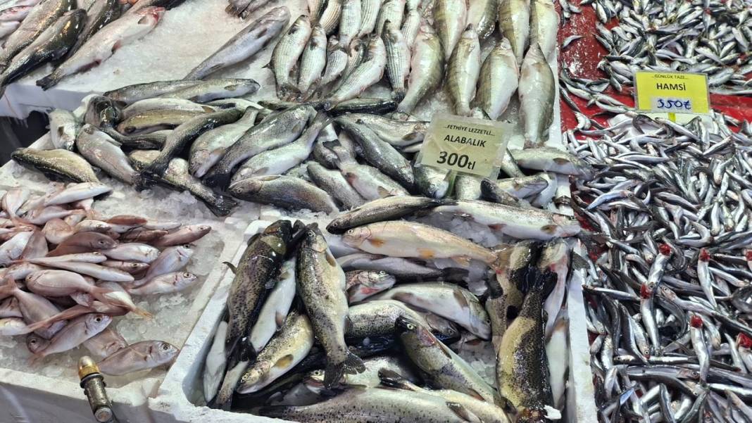 Konya’da balık çok ilgi yok! İşte Konya’da güncel balık fiyatları… 6